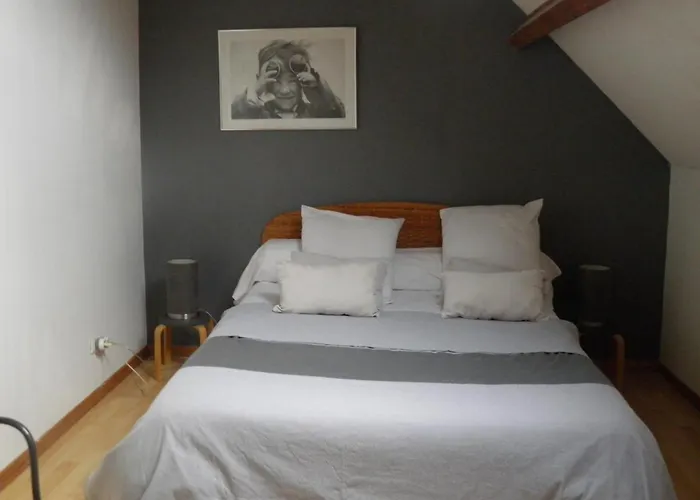 Gite Cosy En Bord De Riviere Avec Jardin, Proche Village Medieval, Ideal Famille, Animaux Acceptes - Fr-1-489-247